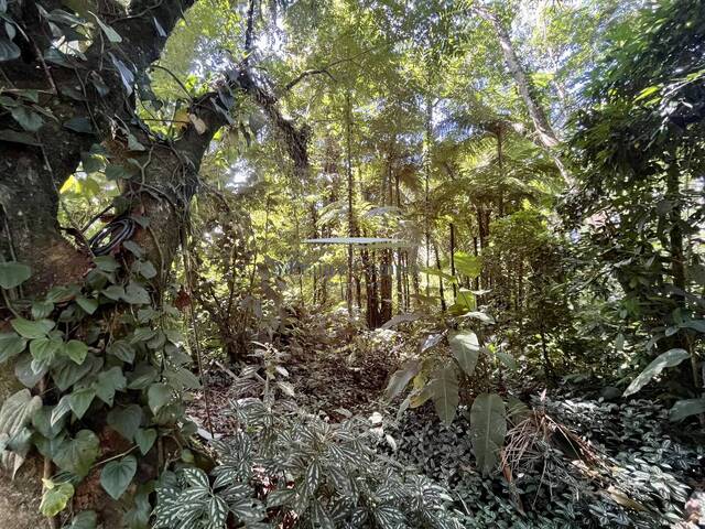 Terreno em condomínio para Venda em São Sebastião - 2